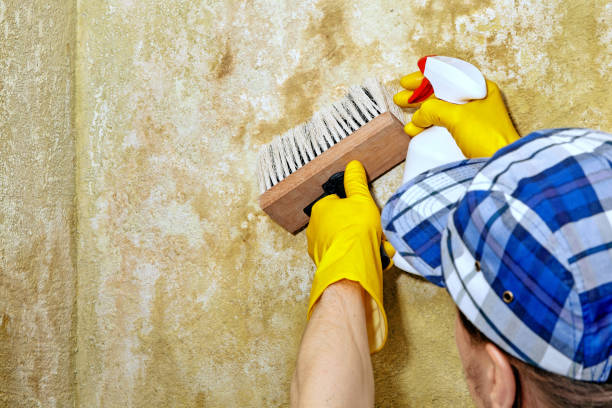 Best Air Quality Testing for Mold Spores  in Bushnell, FL