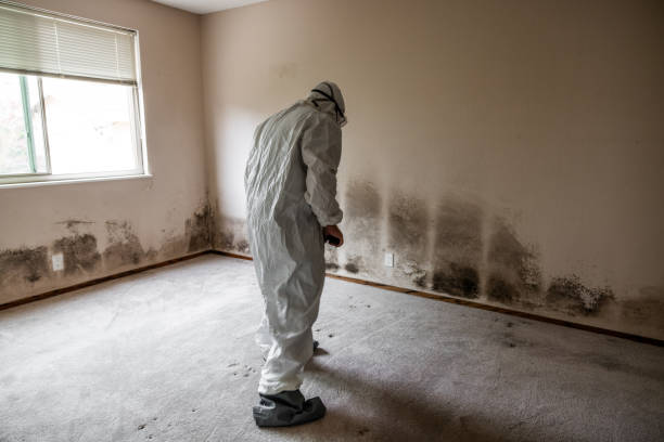 Best HVAC Mold Inspection and Cleaning  in Bushnell, FL